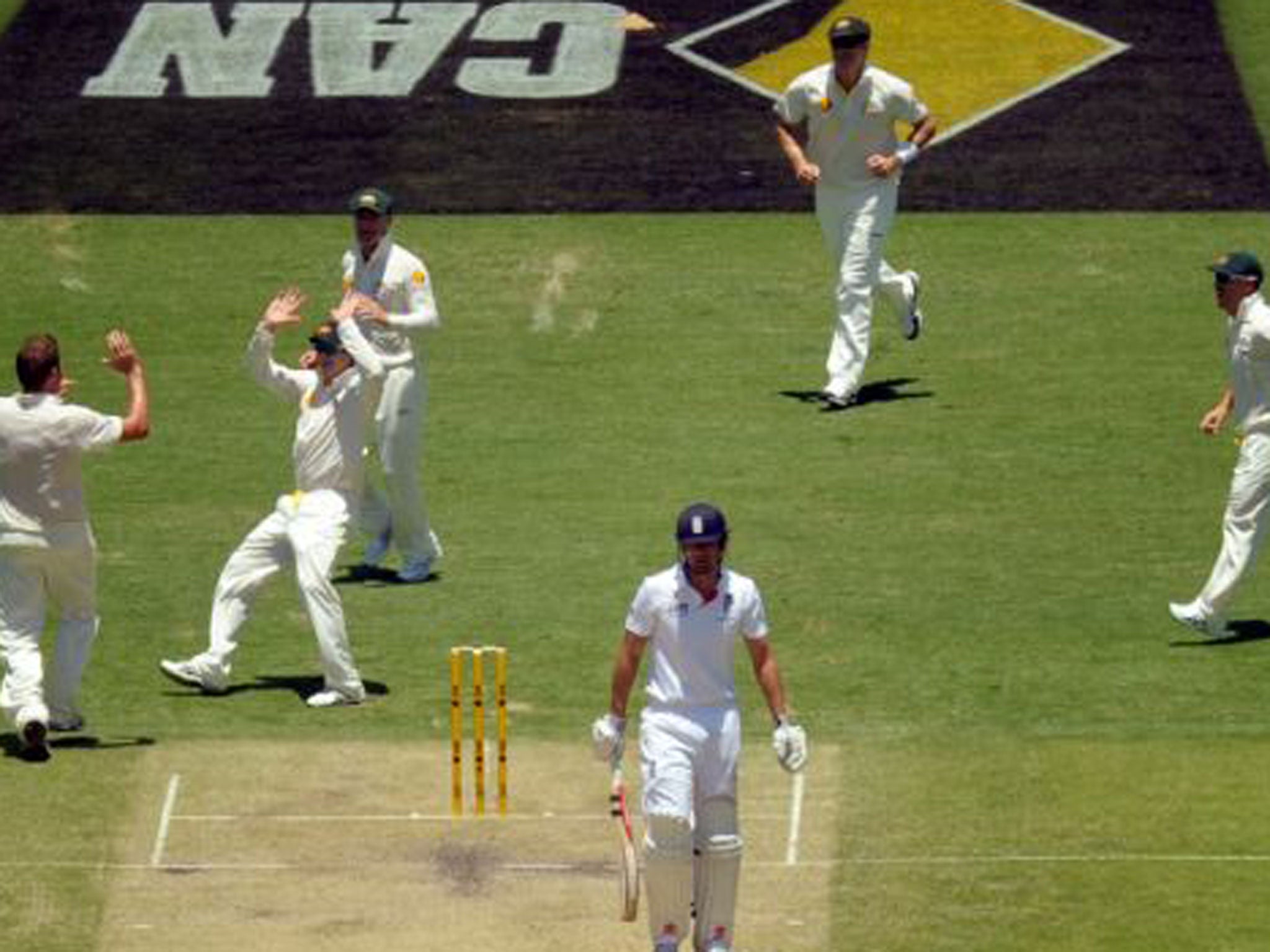 Australia's Ryan Harris (left) celebrates taking the wicket of England's Alastair Cook