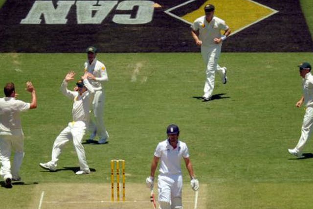Australia's Ryan Harris (left) celebrates taking the wicket of England's Alastair Cook