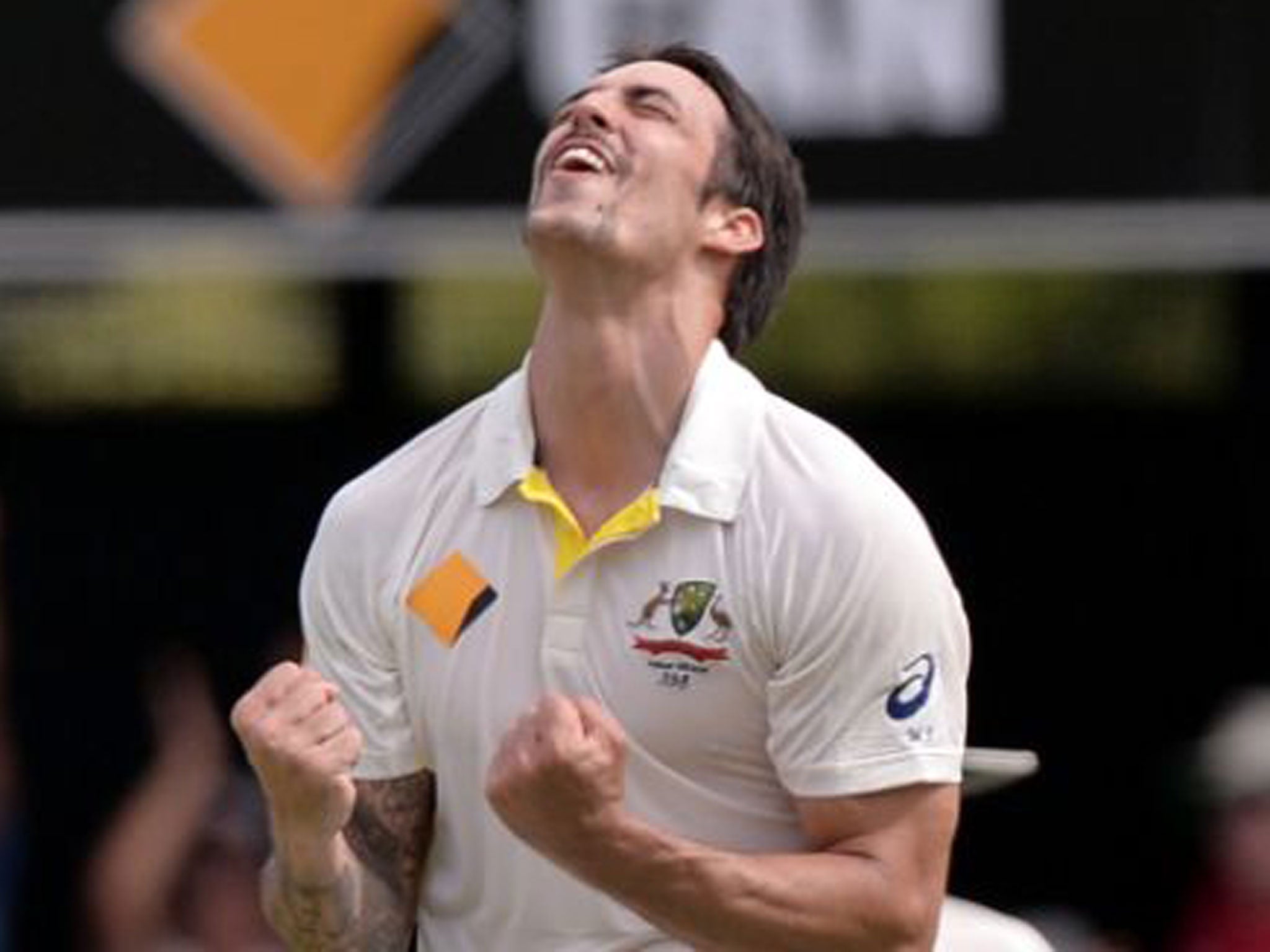 Australia's Mitchell Johnson celebrates taking the wicket of England's Graeme Swann for 0
