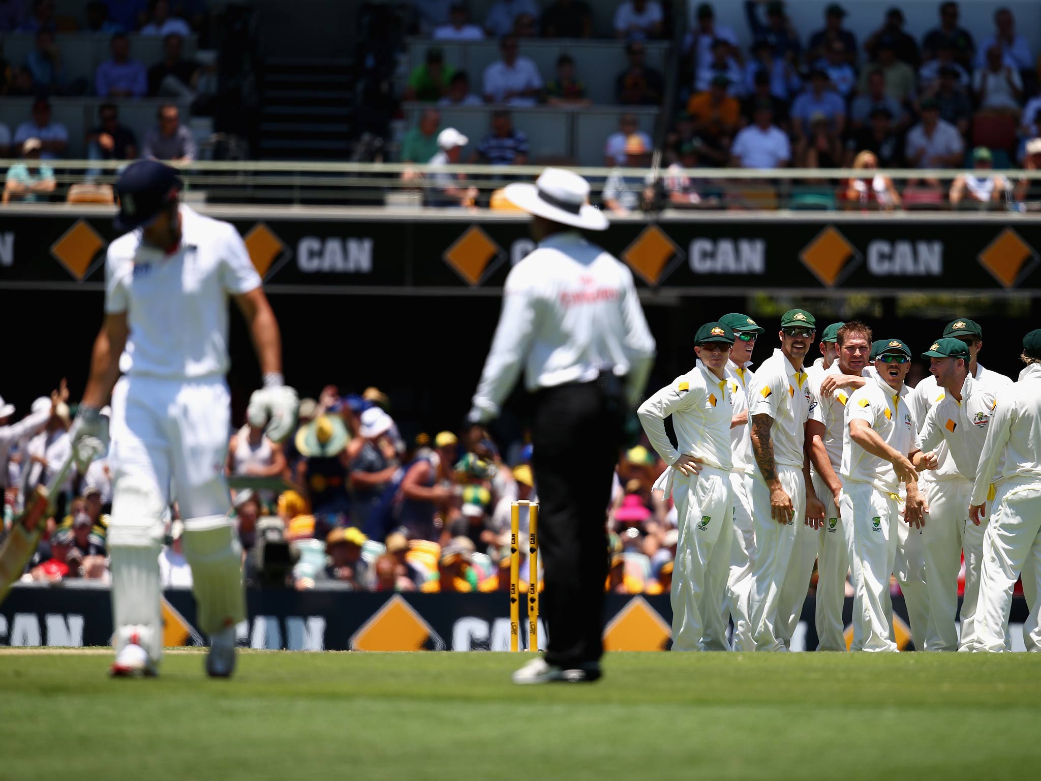 The Australians celebrate after Ryan Harris of Australia claimed the wicket of Alastair Cook of England during day two of the First Ashes Test
