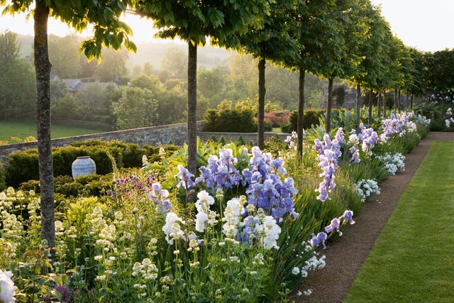 One of the lush pictures in 'The New English Garden'