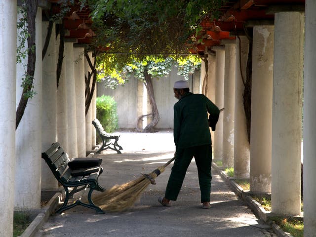 A gardener sweeps up vine leaves beneath a pergola in President Karzai’s private gardens in Kabul