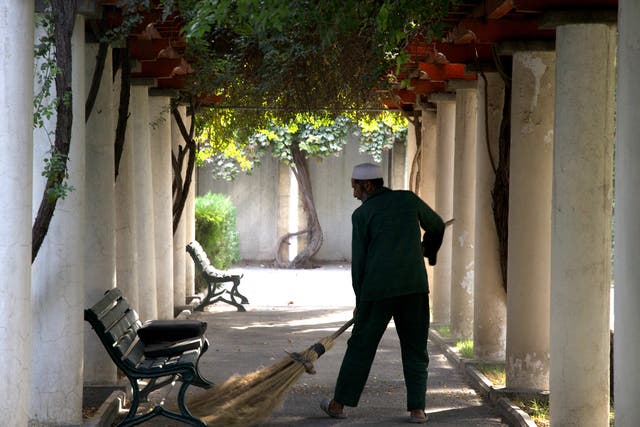 A gardener sweeps up vine leaves beneath a pergola in President Karzai’s private gardens in Kabul