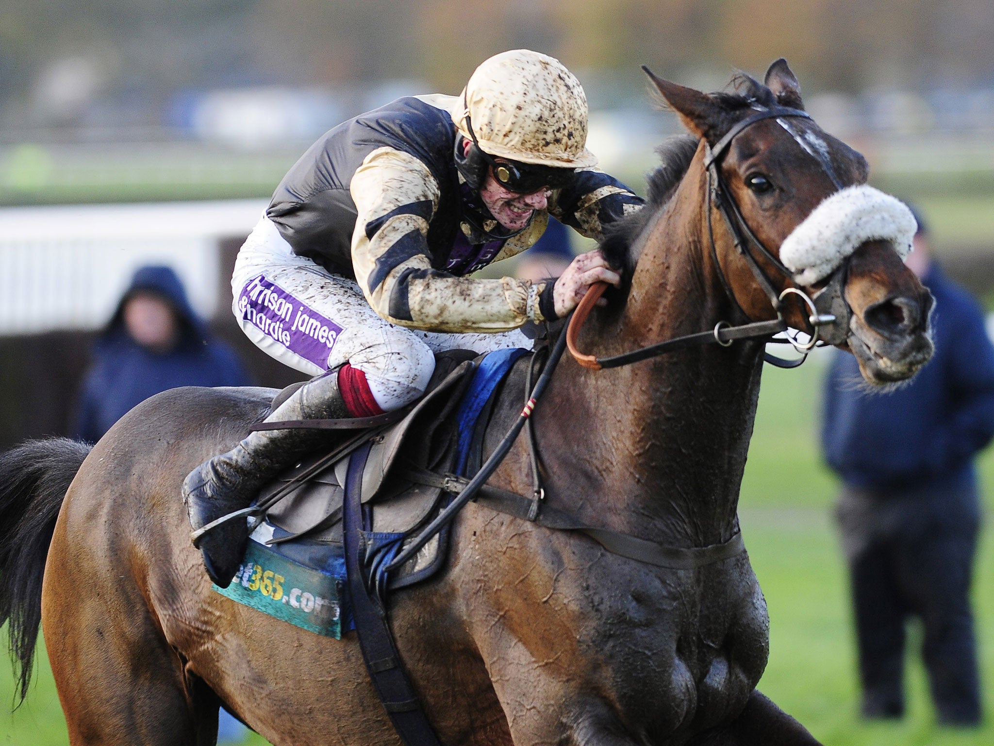 Paul Nicholl's 12-year-old Tidal Bay can add the Betfair Chase to his winning tally