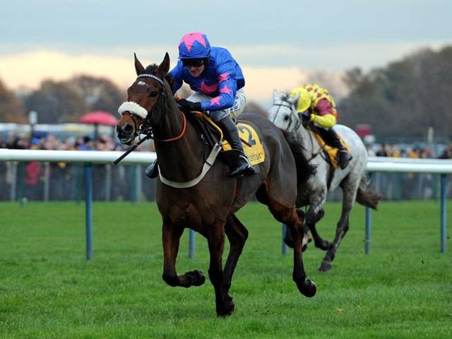Star turn: Cue Card and jockey Joe Tizzard outstay the chasers at Haydock Park