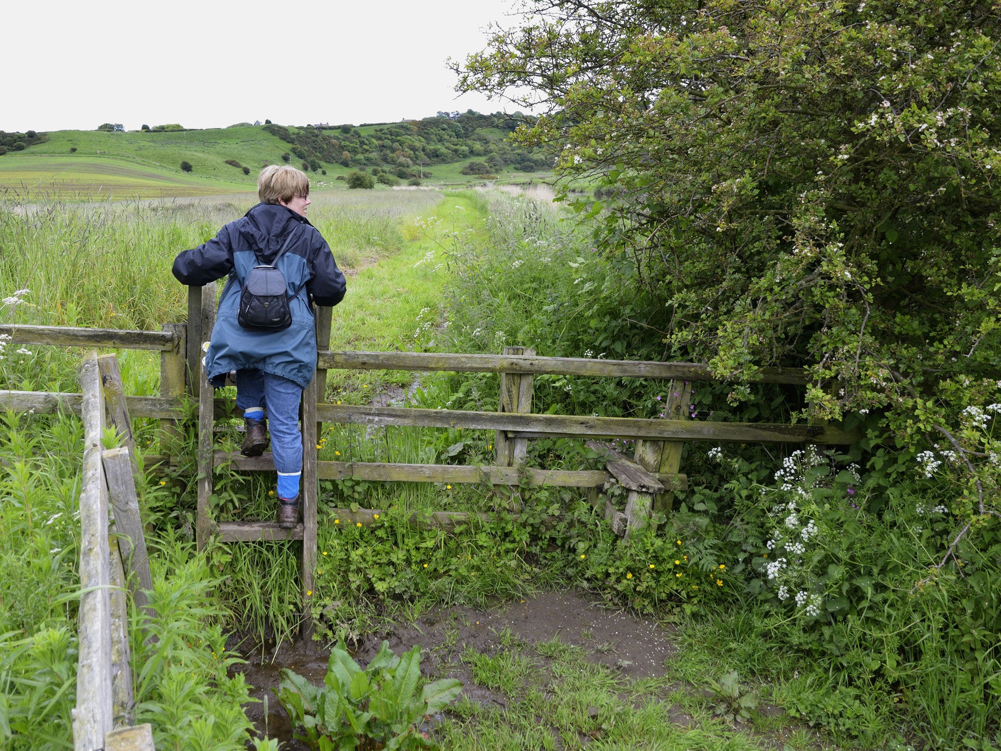 Councils have reduced the numbers of staff responsible for the upkeep of rights of way