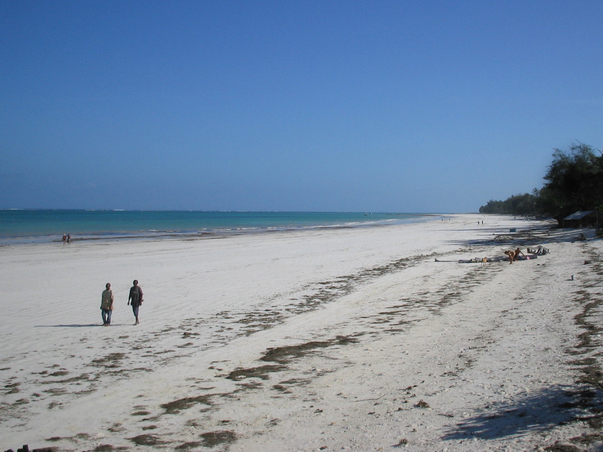 The pair are thought to have been detained in the beach resort of Diani, on the south coast of the country