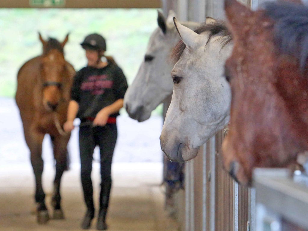 Royal Alexandra &amp; Albert's riding stables