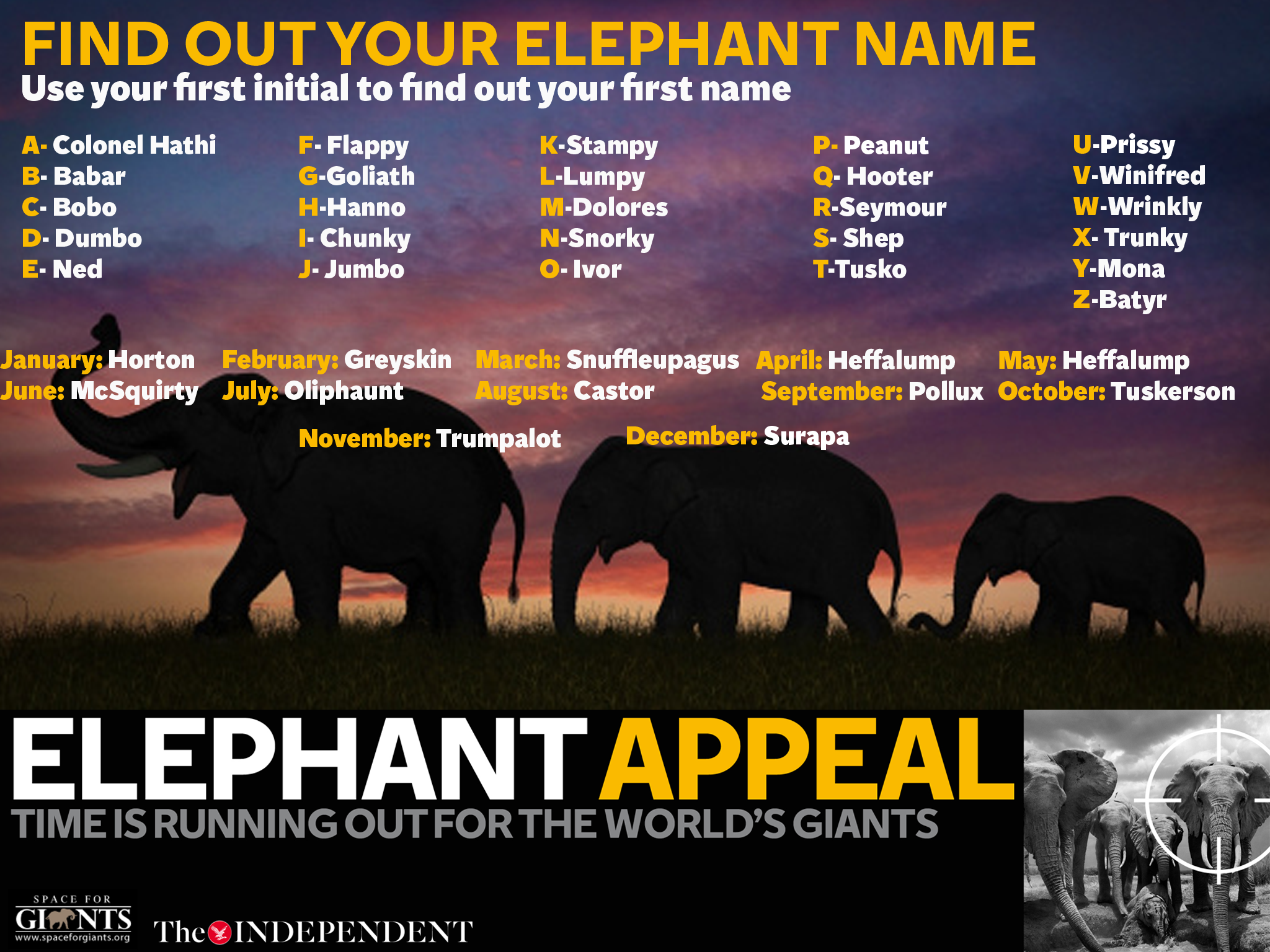 This is your elephant name | The Independent | The Independent