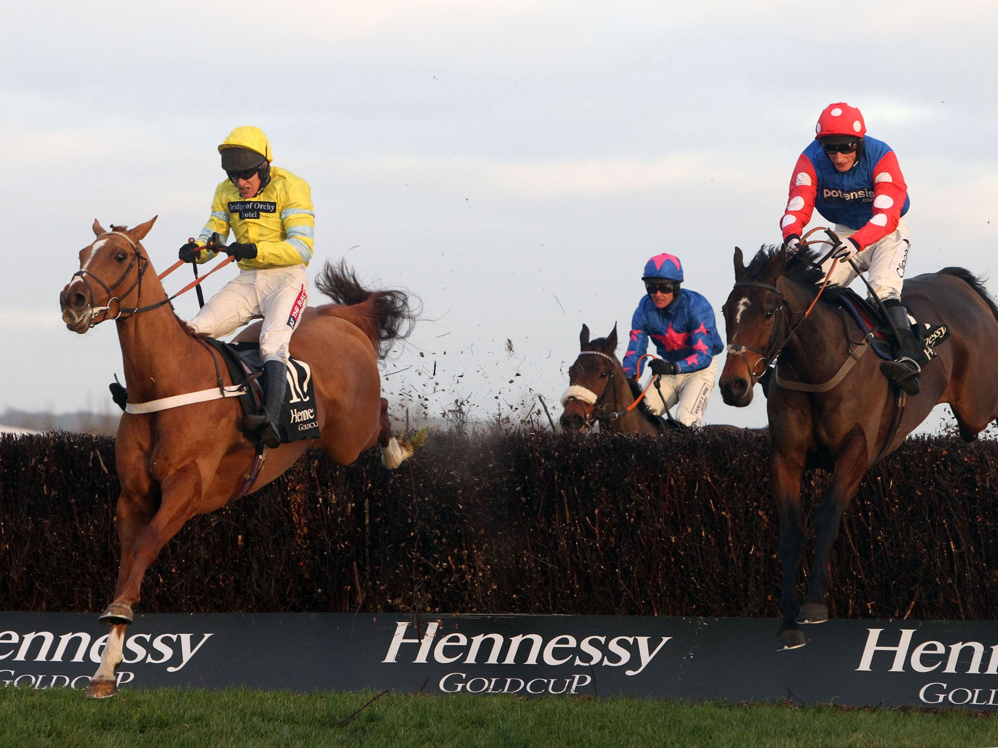 Going for gold: Triolo D’Alene, left, clears the last in the Hennessy Gold Cup at Newbury