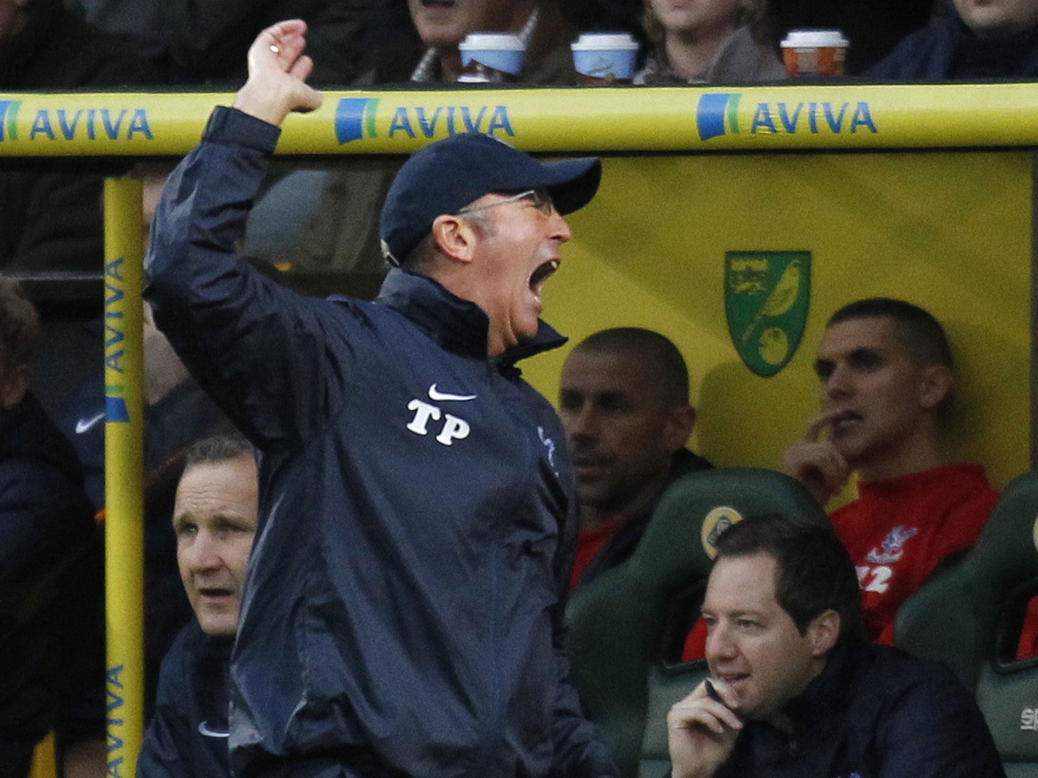 Crystal Palace manager Tony Pulis reacts on the touchline