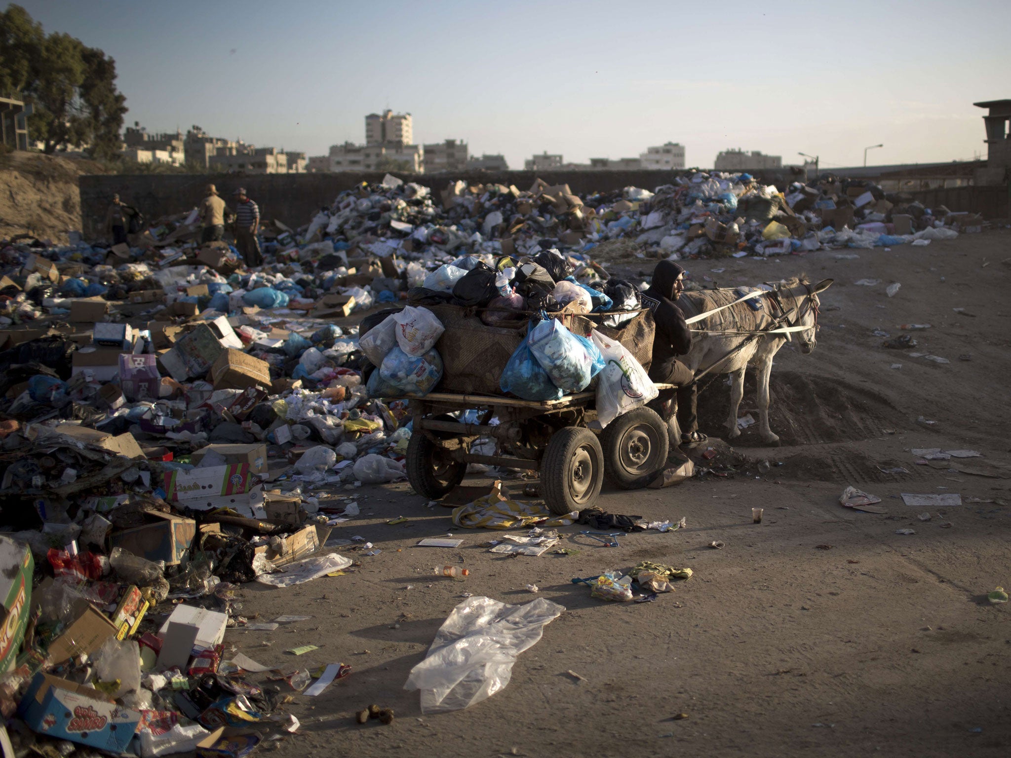 Palestinian workers in Gaza City use a donkey cart to collect the piles of rubbish due to the severe fuel shortage