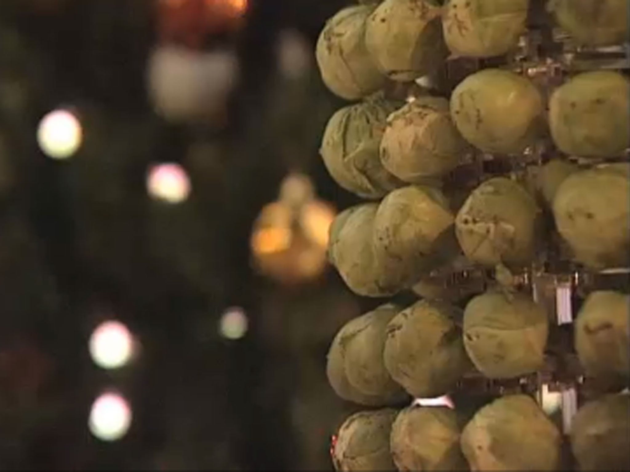 Scientists have created the world's first Brussels sprouts-powered Christmas tree