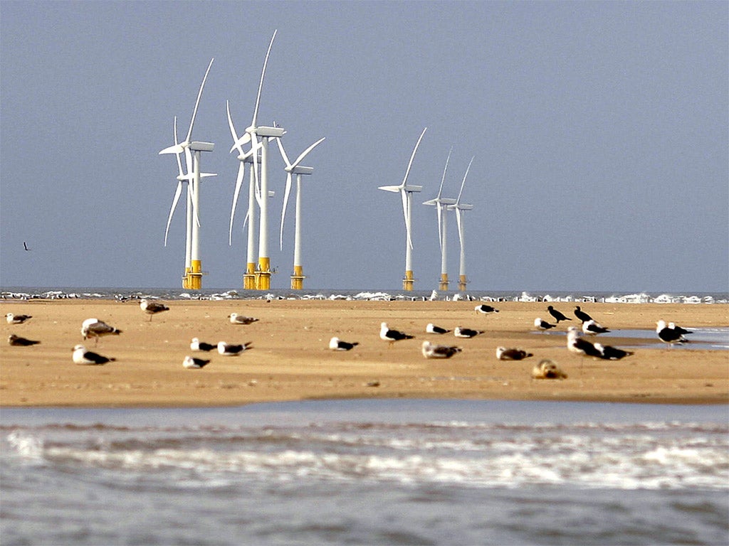 Offshore windfarms, like Scroby Sands in the North Sea, are more costly to set up but stay on full subsidy