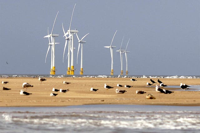 Offshore windfarms, like Scroby Sands in the North Sea, are more costly to set up but stay on full subsidy