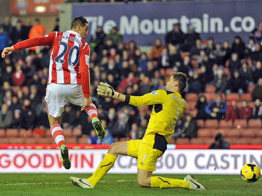 Geoff Cameron managed to beat Cardiff keeper David Marshall - but the goal was ruled out for offside