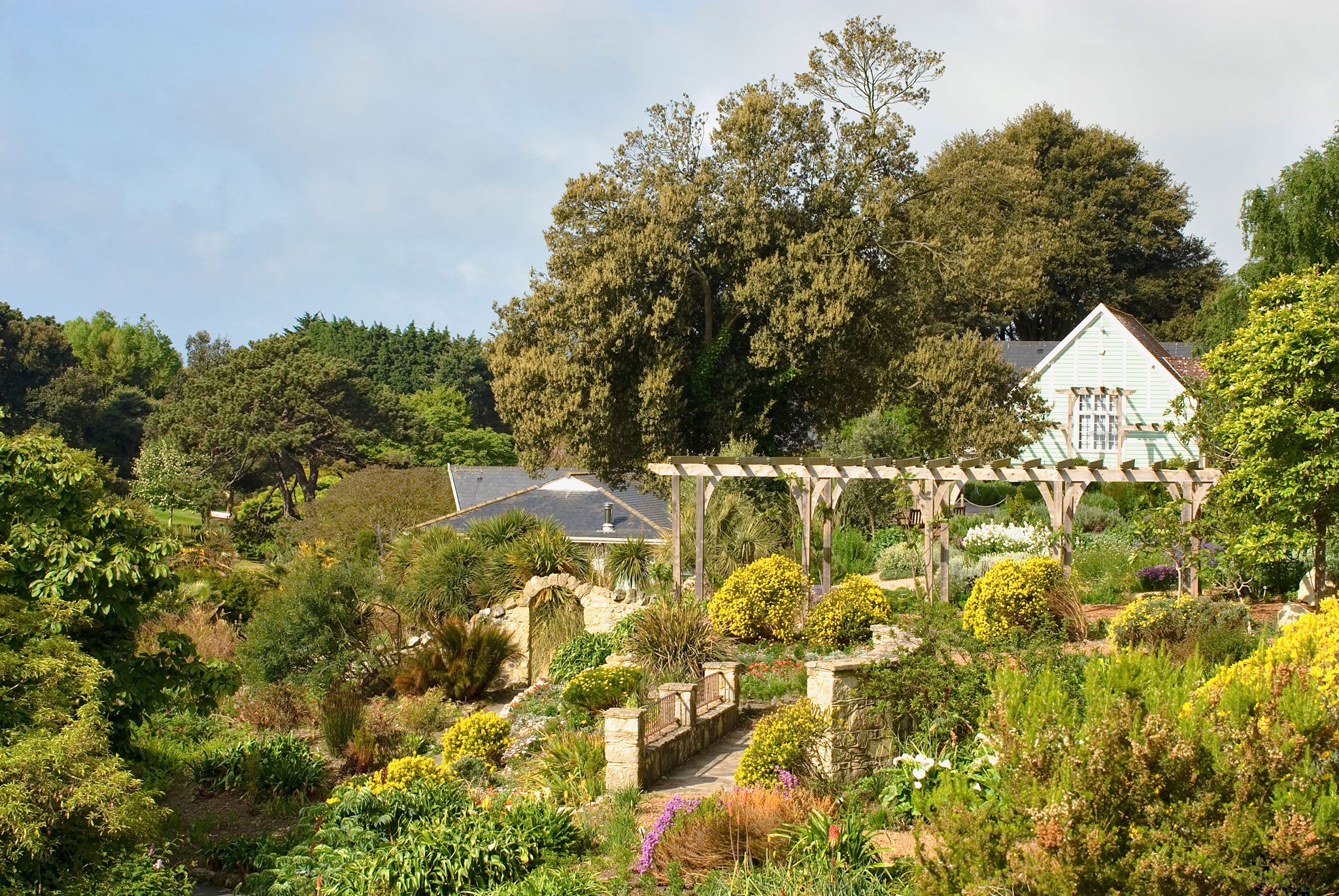 Rare plants were stolen from Ventnor garden