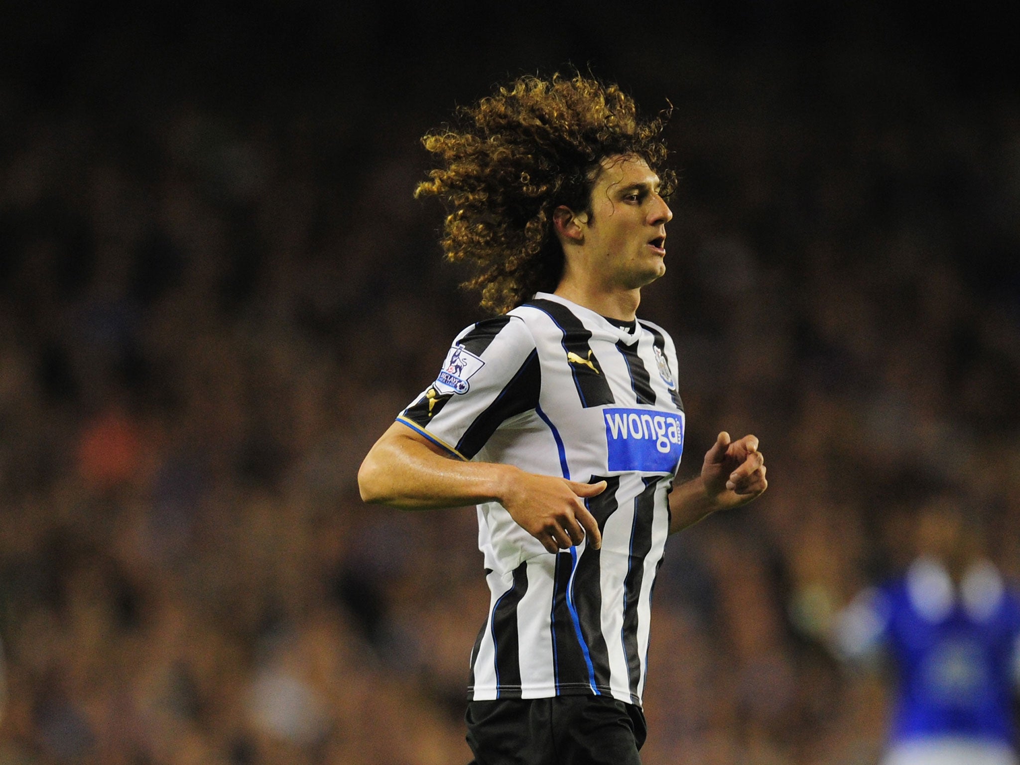 Newcastle captain Fabricio Coloccini has claimed he is happy at St James's Park