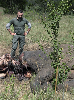Evgeny Lebedev views an elephant carcass abandoned by poachers