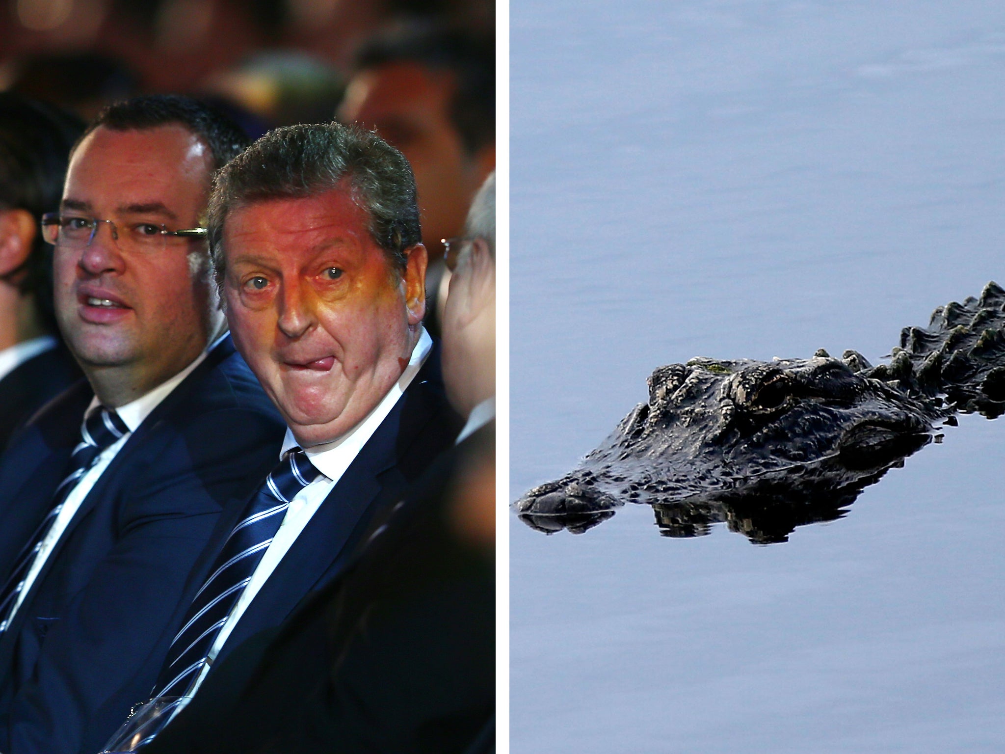 Roy Hodgson's England side will begin the 2014 World Cup in Manaus, where fans have been warned of meeting alligators during the night