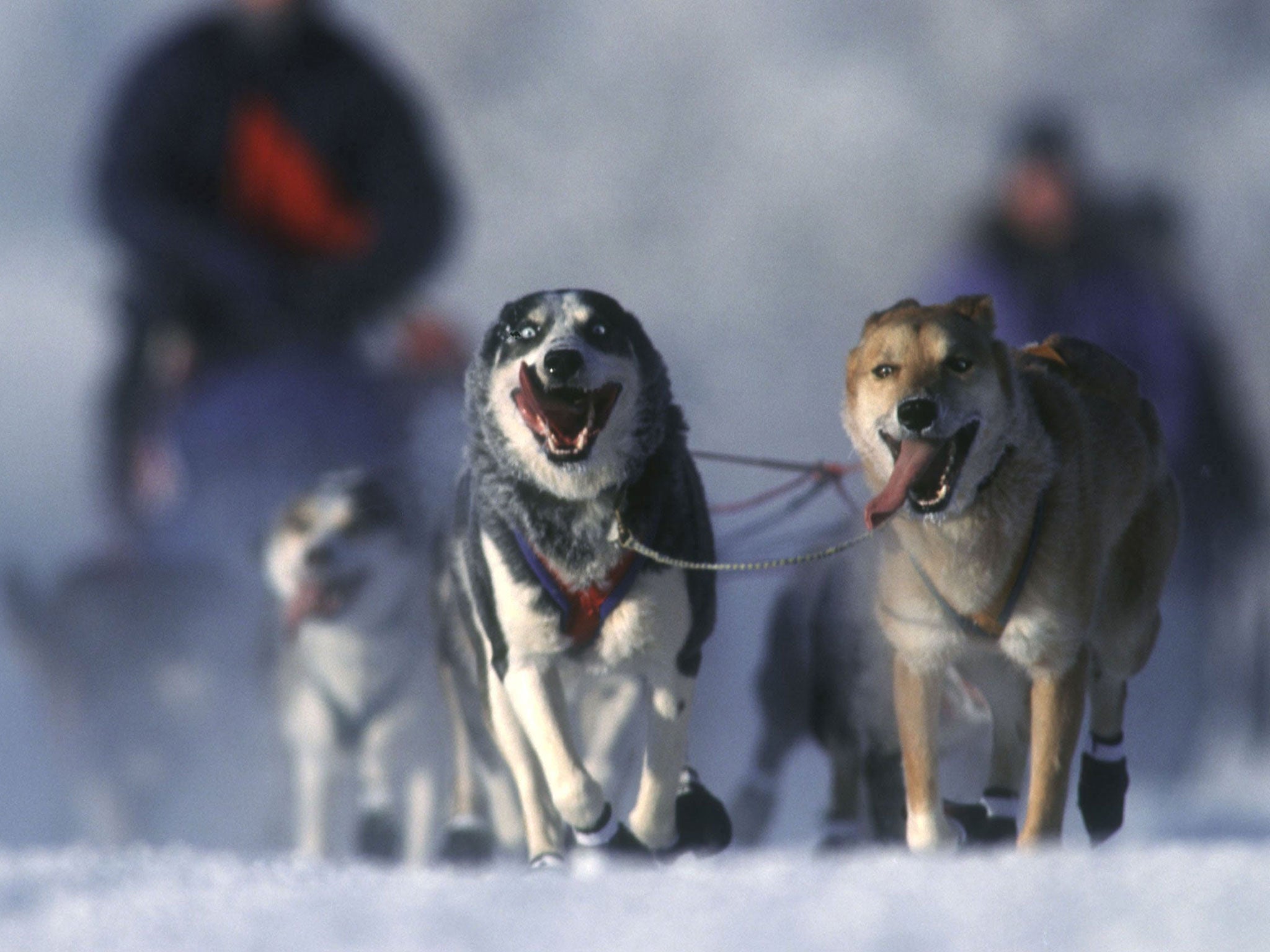 <p>A team of scientists analysing 32 years of satellite data say they have recorded a new record low temperature on earth. But what are the top ten coldest places on the planet?</p>

<p>In at No 10 in our list is <b>10. Snag, Yukon, Canada -63C</b> Snag is a village located near the Alaskan Highway in Canada. It holds the current record for the lowest ever temperature recorded in  continental North America.</p>