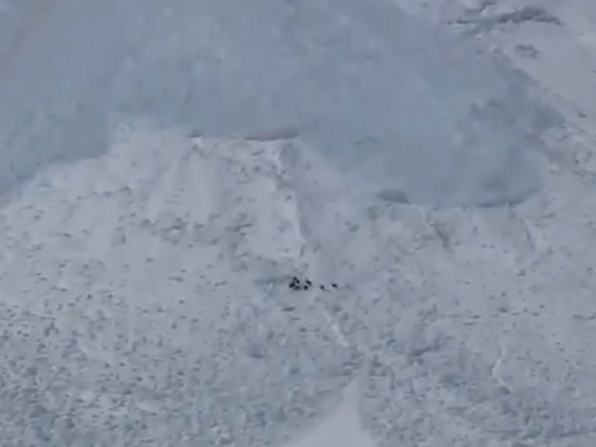 YouTube footage shows Chamois goats about to be engulfed by an avalanche in the French Alps