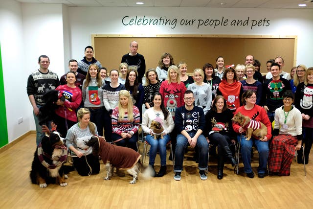 Christmas Jumper picture of Pets at Home head office employees and their pets dressed up for the occasion too