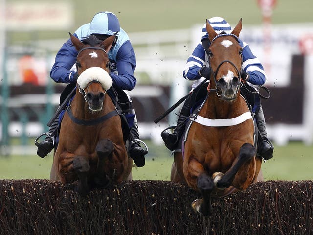 The winner Oscar Whisky rises with Wonderful Charm at the last in the novice chase at Cheltenham yesterday