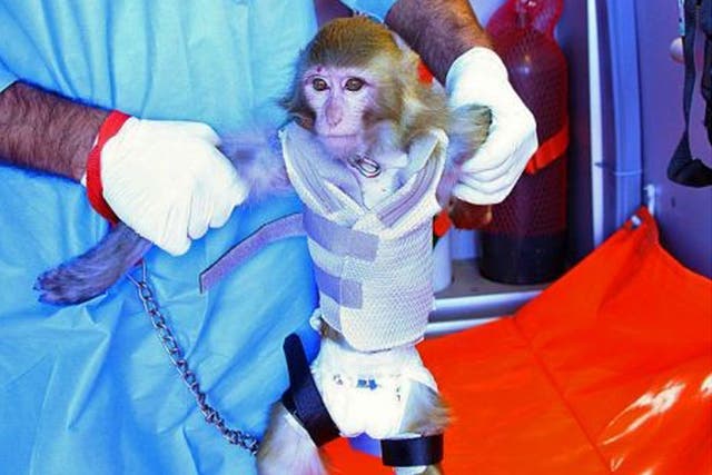 Iran took a "big step" towards sending astronauts into space by 2020, successfully launching a monkey above the Earth's atmosphere, Defence Minister Ahmad Vahidi told state television earlier this year. They are now claiming a second monkey has been succe
