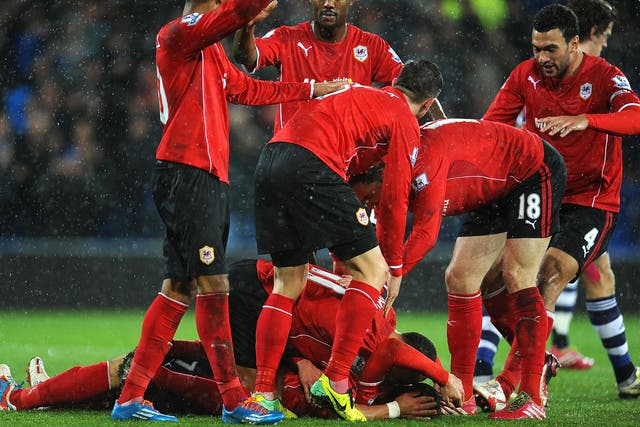 Cardiff celebrate after Peter Whittingham's goal gives them victory against West Brom