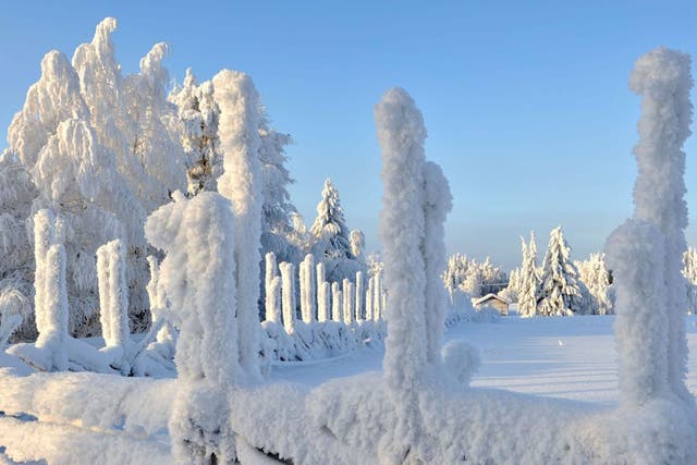 Chill out: Snowy scenery in North Karelia