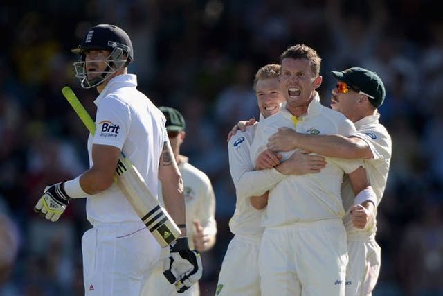 Not again! For the 10th time, Kevin Pietersen is dismissed by Peter Siddle caught on this occasion by a jubilant Mitchell Johnson