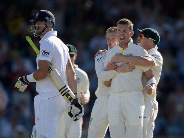 Not again! For the 10th time, Kevin Pietersen is dismissed by Peter Siddle caught on this occasion by a jubilant Mitchell Johnson