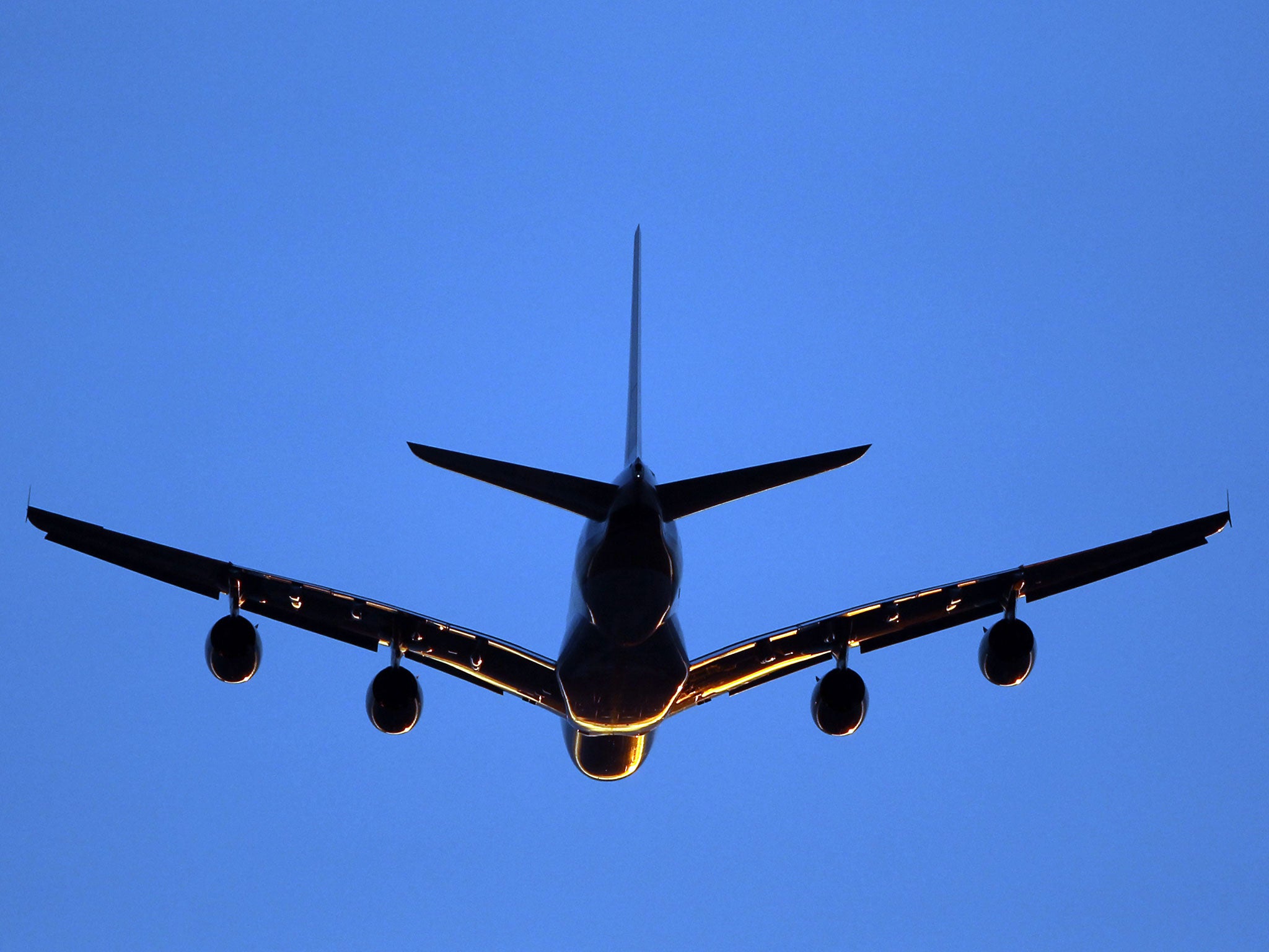 Heathrow needs a third runway and possibly a fourth, Labour MP Louise Ellman has said