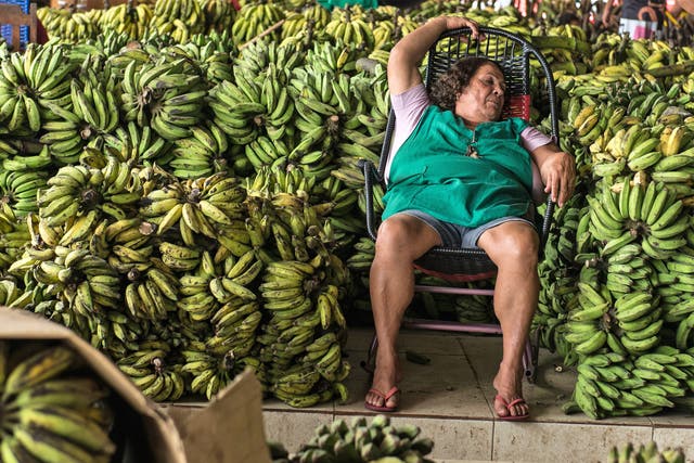 Banana-nap: a woman rests at her banana stall in Manaus, Brazil