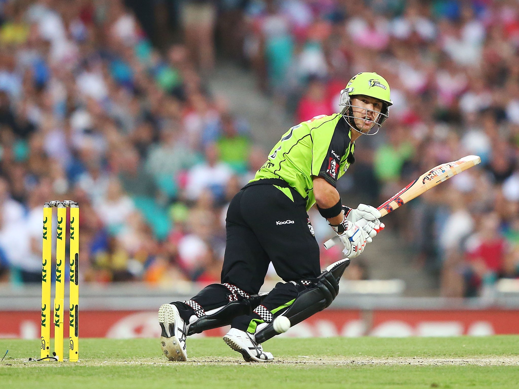 Australia batsman David Warner in action for the Sydney Sixers