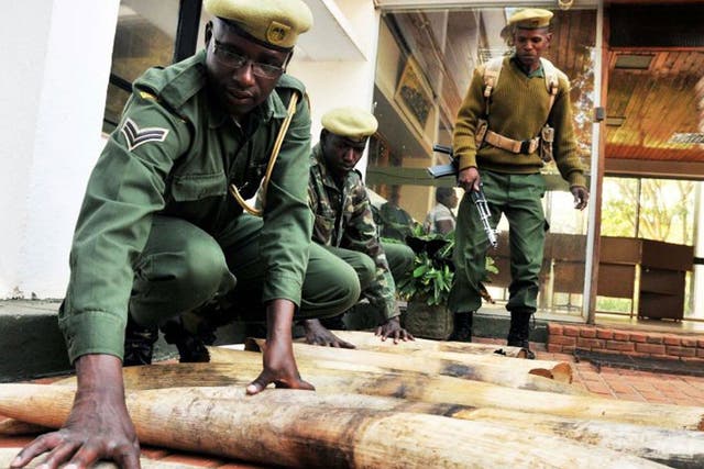 Smuggled goods: Kenya Wildlife Service rangers with confiscated ivory found in a truck’s secret compartment earlier this year
