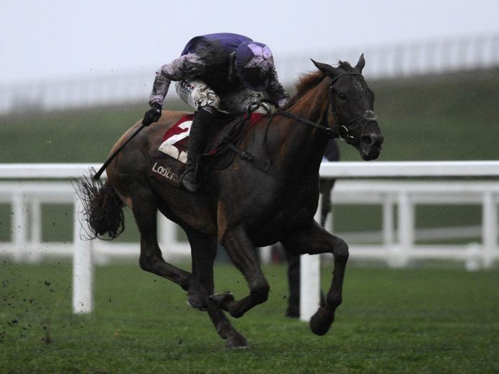 At the double: Harry Skelton rides Willow’s Saviour to victory in the Ladbroke Hurdle for his older brother Dan