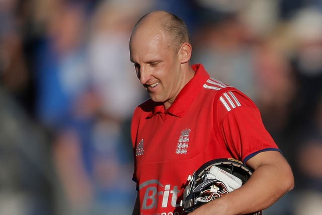 James Tredwell will be available for the final Test in Sydney