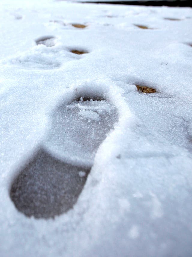 Footprints in the snow like those left by Collin Thomas Ferguson.