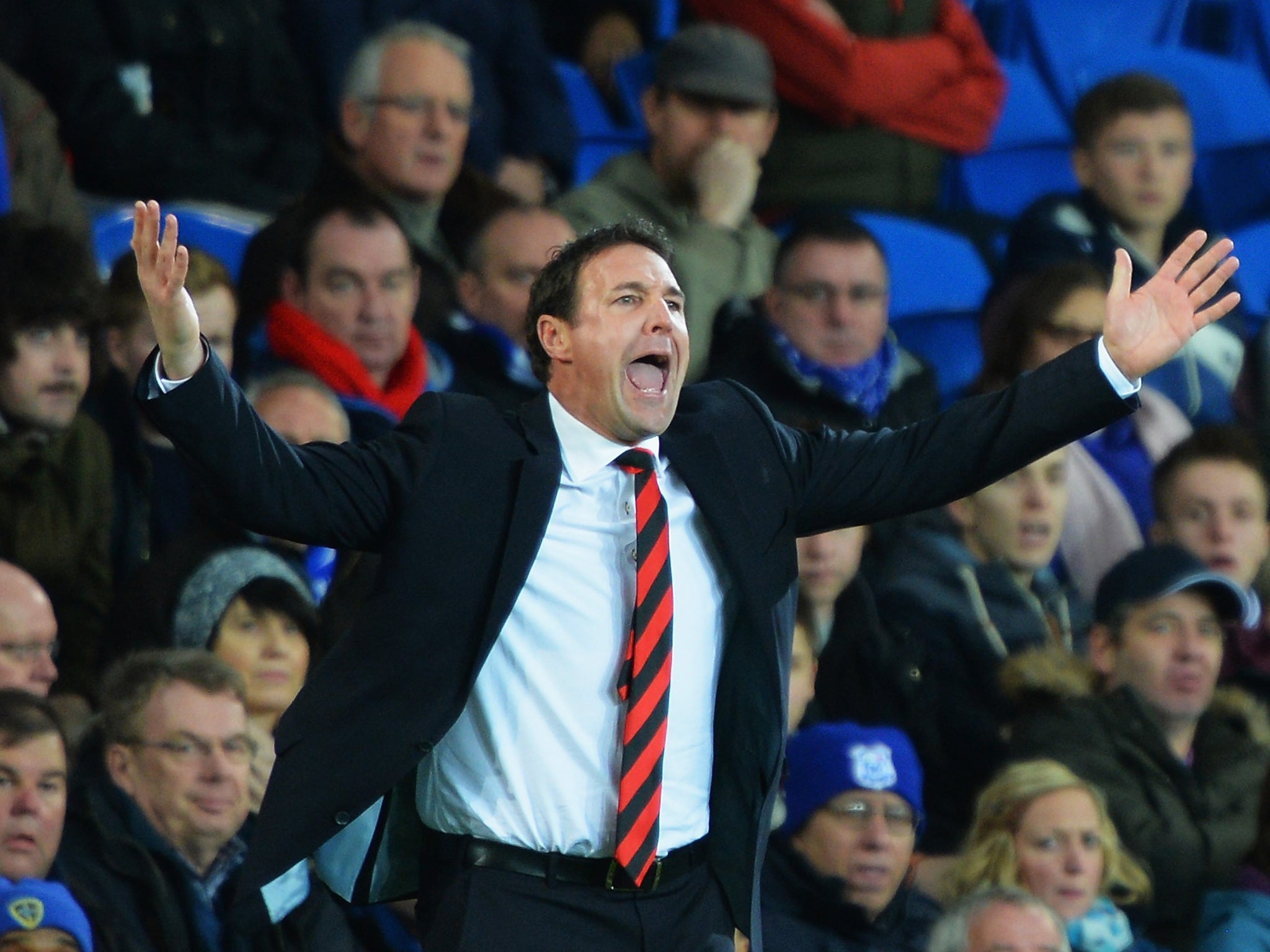 Malky Mackay remonstrates on the sidelines during Cardiff's 3-0 loss to Southampton