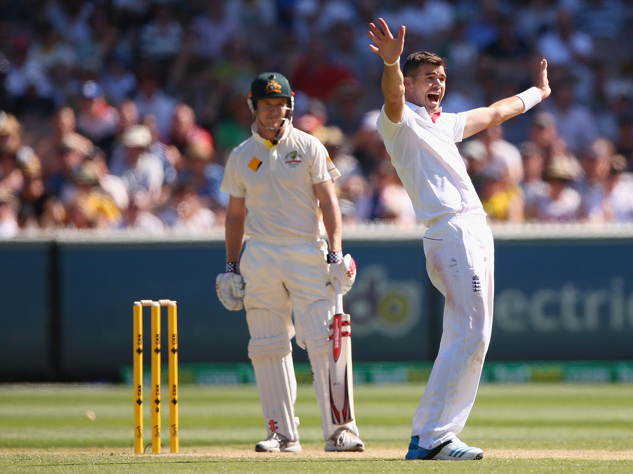 James Anderson appeals for the wicket of George Bailey, who went for a duck in the first innings of the Fourth Test