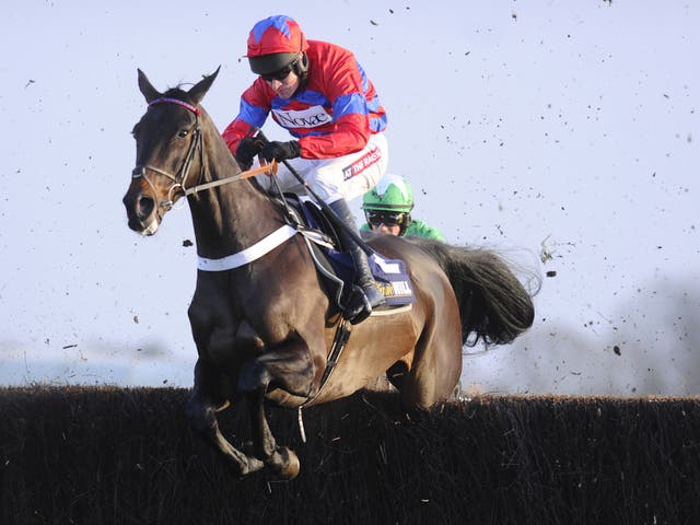 Barry Geraghty aboard Sprinter Sacre before he was pulled up after the seventh of the Desert Orchid Chase at Kempton