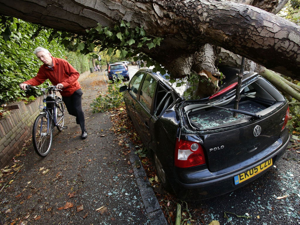 Domestic damage: Hornsey, north London, after the October storm