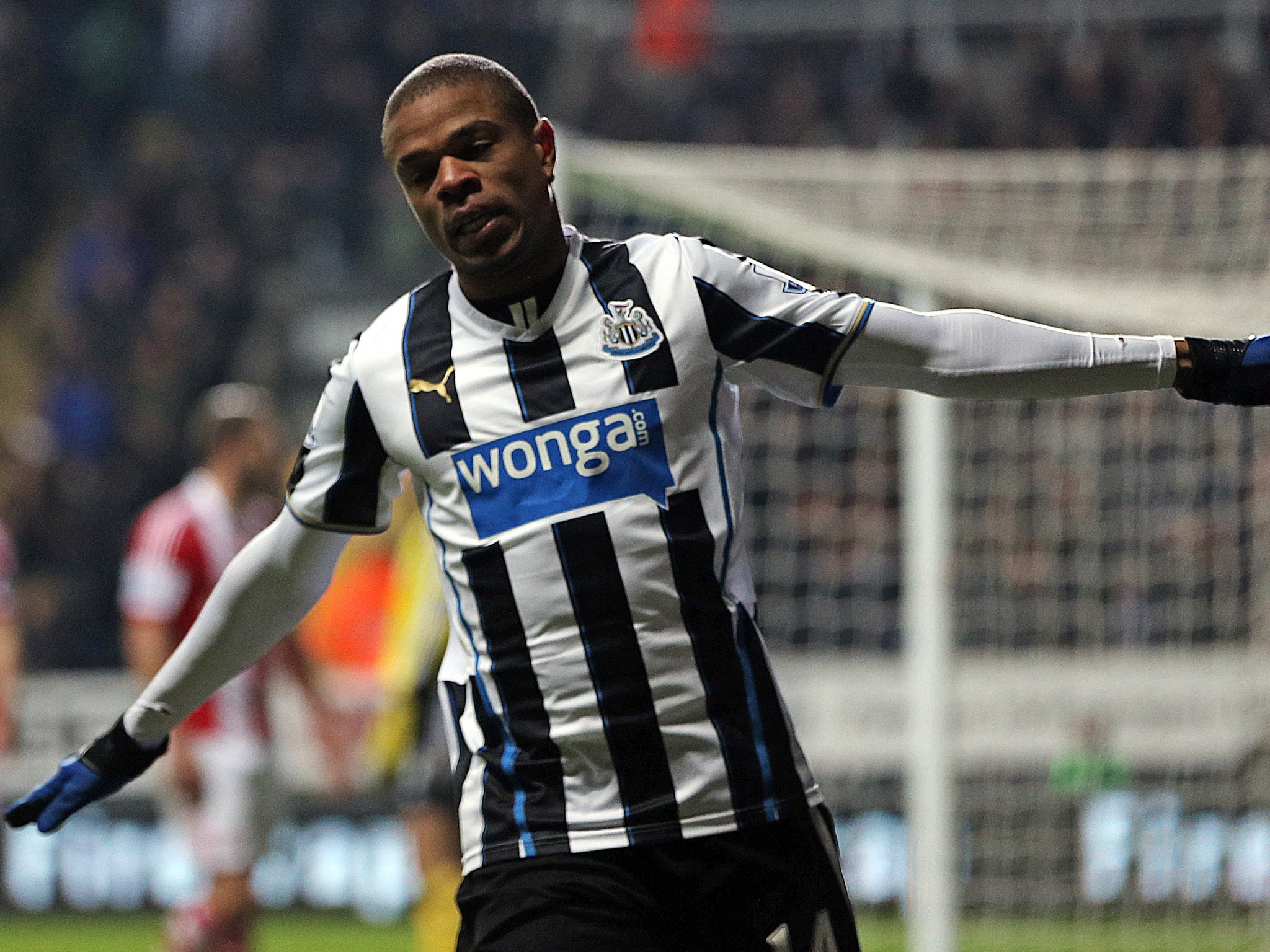 Loic Remy celebrates after scoring for Newcastle against Stoke