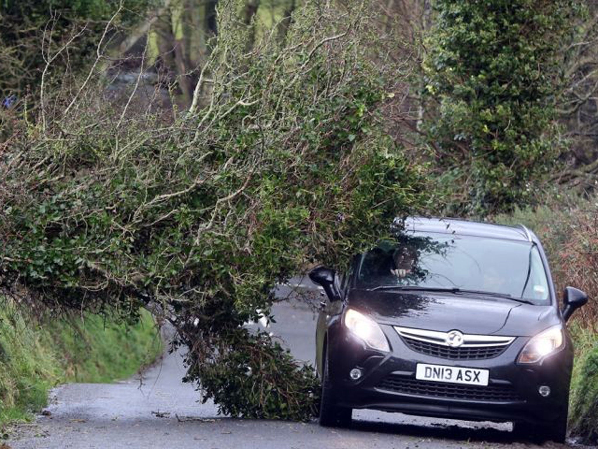 A motorist navigates past a fallen tree after weather 'chaos' in north Antrim