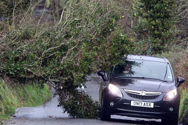 A motorist navigates past a fallen tree after weather 'chaos' in north Antrim