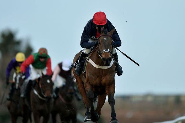 Bobbing along: Bobs Worth and Barry Geraghty take the Lexus with ease  