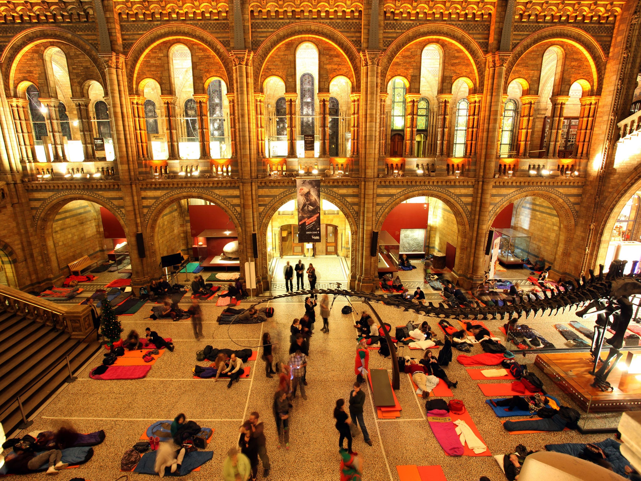 A Night At The Natural History Museum Just Don t Try Doing What Comes 