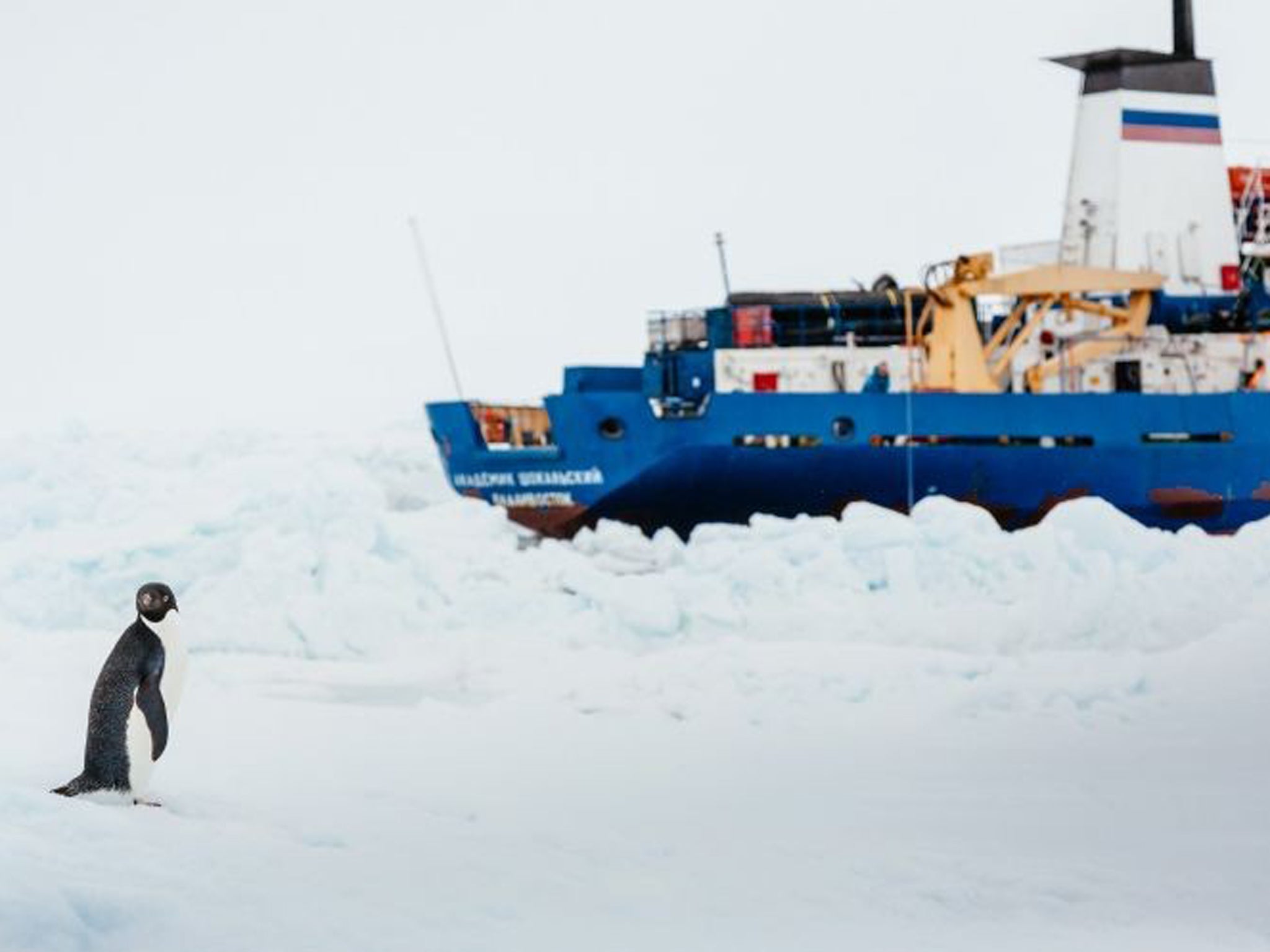 The MV Akademik Shokalskiy still stuck in the ice off East Antarctica as it awaits helicopter rescue